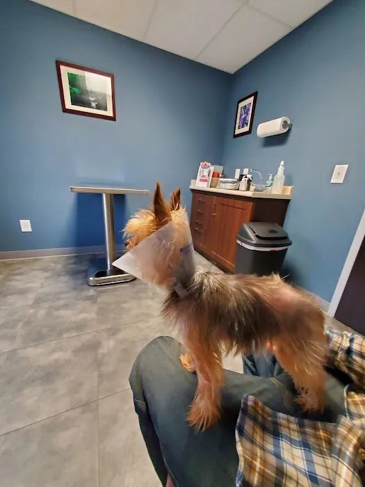 Goodworks Veterinary Hospital 7