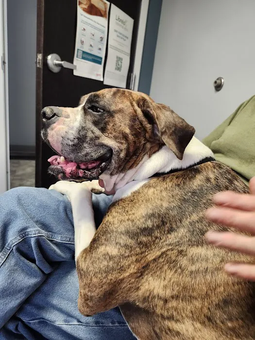 Goodworks Veterinary Hospital 6