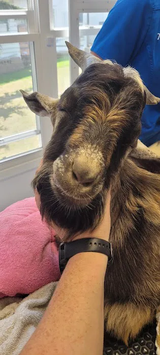 Goodworks Veterinary Hospital 2