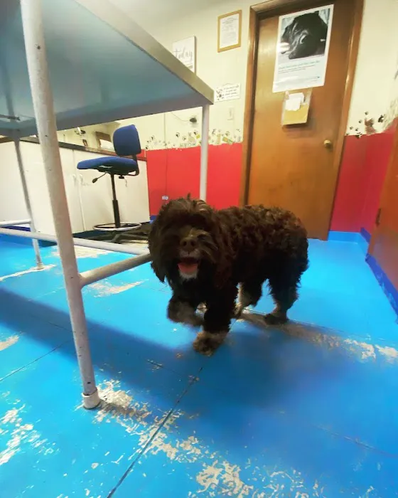 Long Run Pet Hospital 12