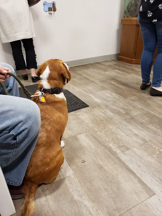 Kindler Animal Hospital 3