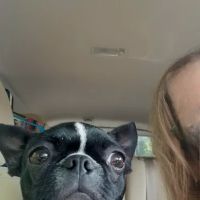 Guernsey Veterinary Clinic: Freshwater Nikki DVM ico