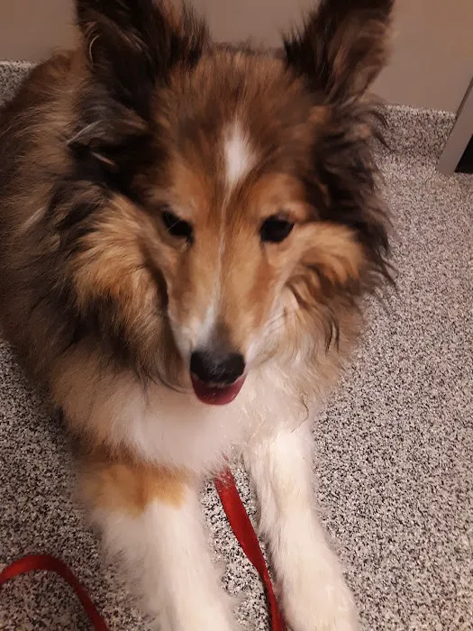 Guernsey Veterinary Clinic: Freshwater Nikki DVM 4