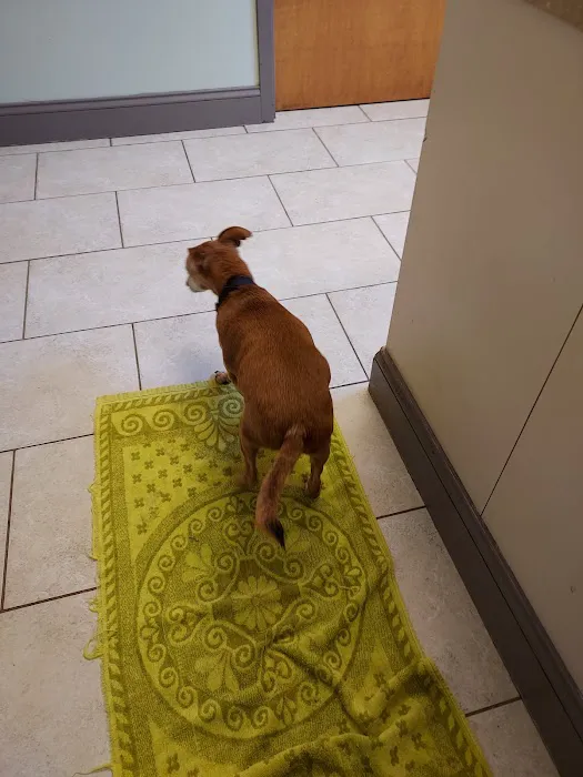 Animal Clinic at Cambridge 1