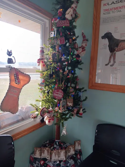 Minerva Veterinary Clinic 2