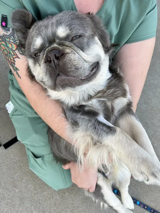 Minerva Veterinary Clinic 6