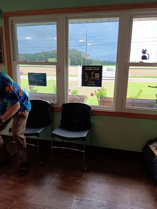 Minerva Veterinary Clinic 9