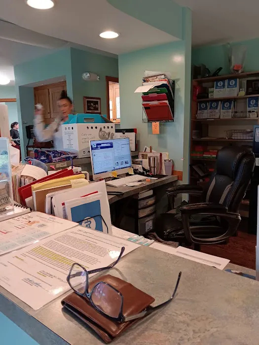 Minerva Veterinary Clinic 1