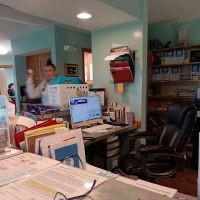 Minerva Veterinary Clinic ico