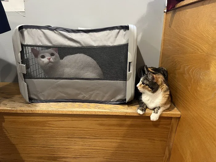 West Main Veterinary Clinic 5