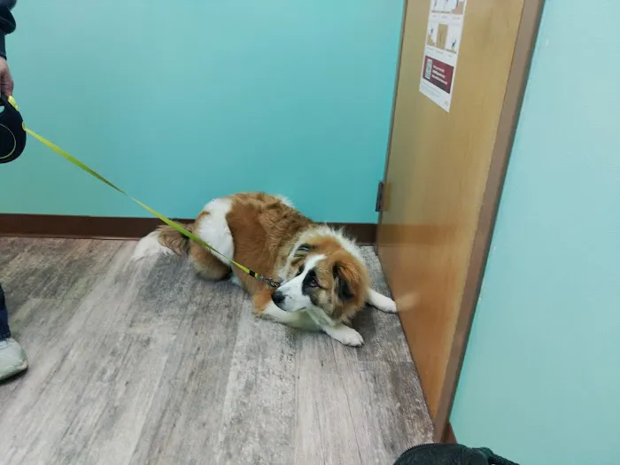 West Main Veterinary Clinic 2