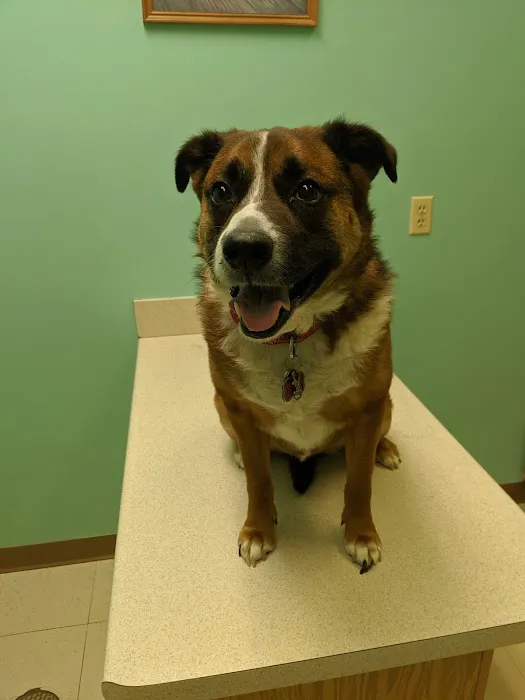 West Main Veterinary Clinic 3