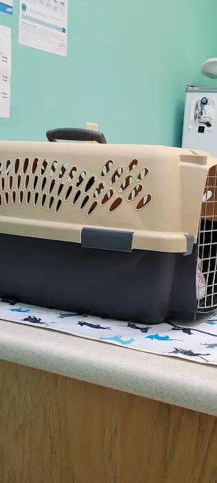 West Main Veterinary Clinic 1