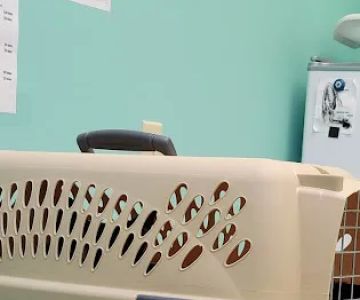 West Main Veterinary Clinic
