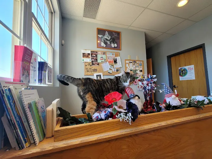 West Main Veterinary Clinic 10