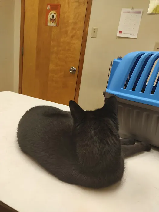 Tallmadge Animal Hospital 4