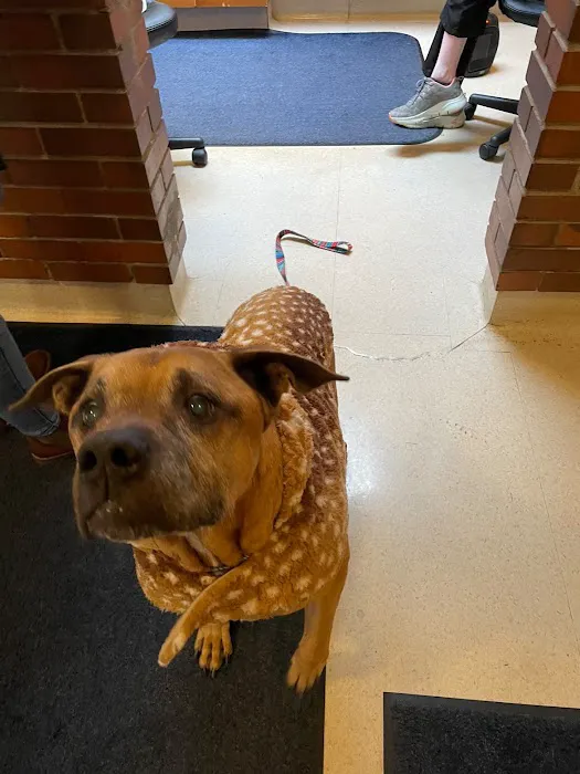 Tallmadge Animal Hospital 5