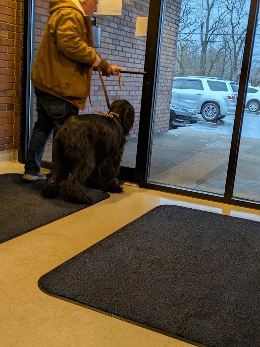 Tallmadge Animal Hospital 7