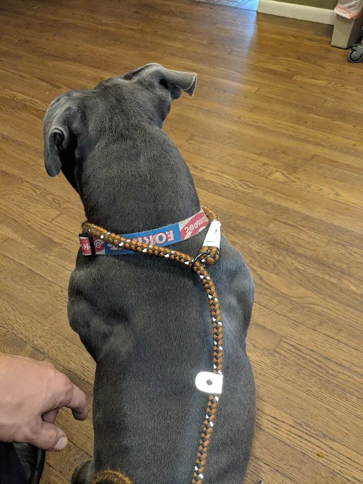Solon Animal Hospital 4
