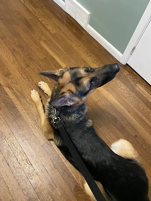 Solon Animal Hospital 7