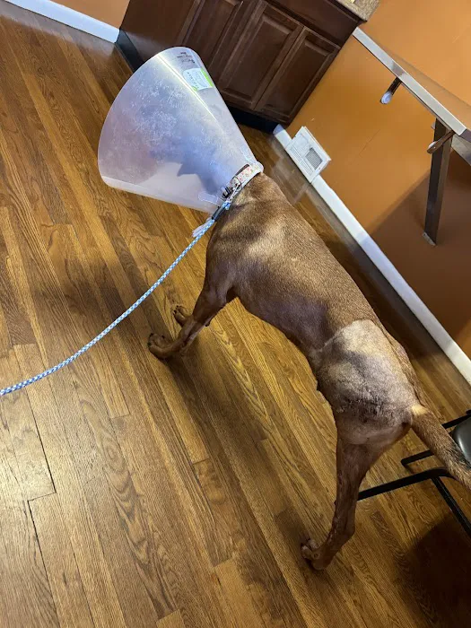 Solon Animal Hospital 5