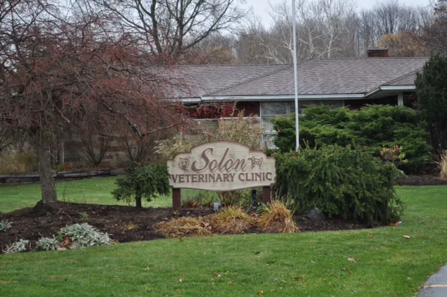 Solon Animal Hospital 2