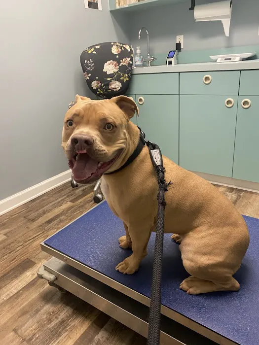 Suburban Veterinary Clinic 7