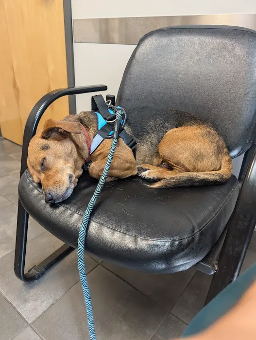 Twinsburg Veterinary Hospital & Pet Lodge 6