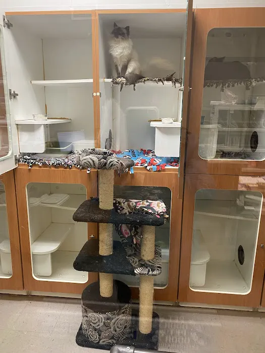 Twinsburg Veterinary Hospital & Pet Lodge 4