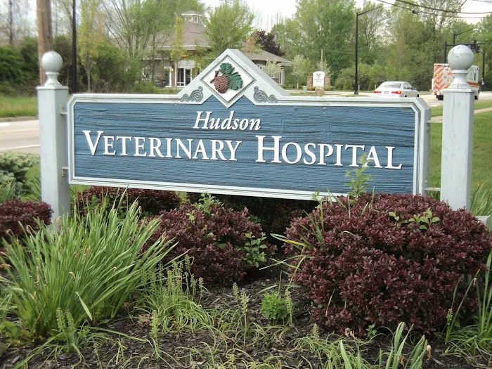 Hudson Veterinary Hospital 5