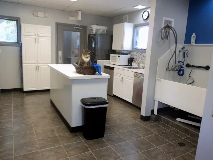 Hudson Veterinary Hospital 10