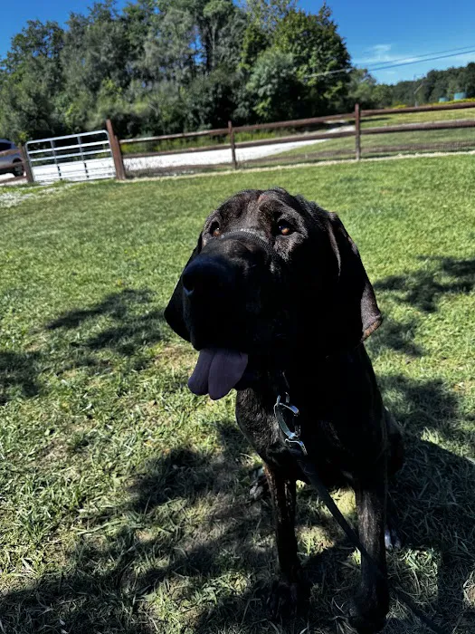 Hudson Veterinary Hospital 4