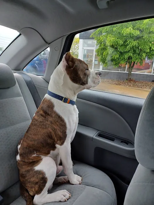 Warrensville Animal Hospital 9