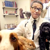 Warrensville Animal Hospital ico