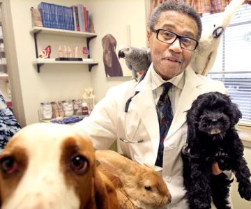 Warrensville Animal Hospital