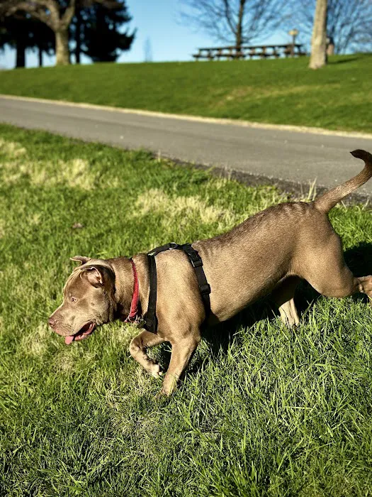 Warrensville Animal Hospital 4