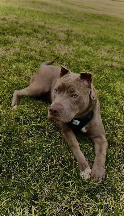 Warrensville Animal Hospital 5