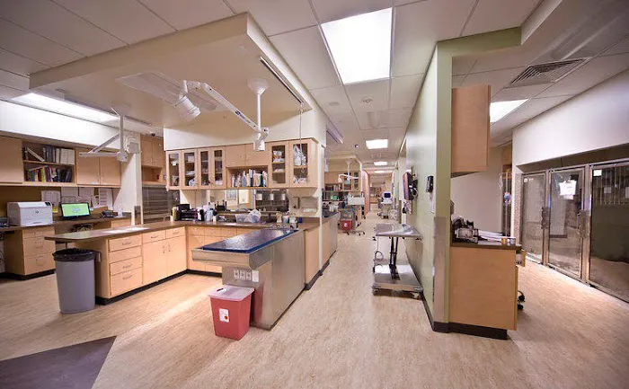 VCA Great Lakes Veterinary Specialists 6