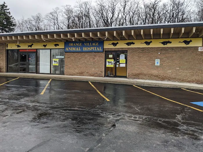 Orange Village Animal Hospital 4