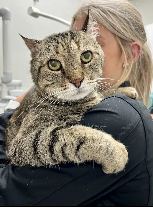 Shaker Heights Animal Hospital 7