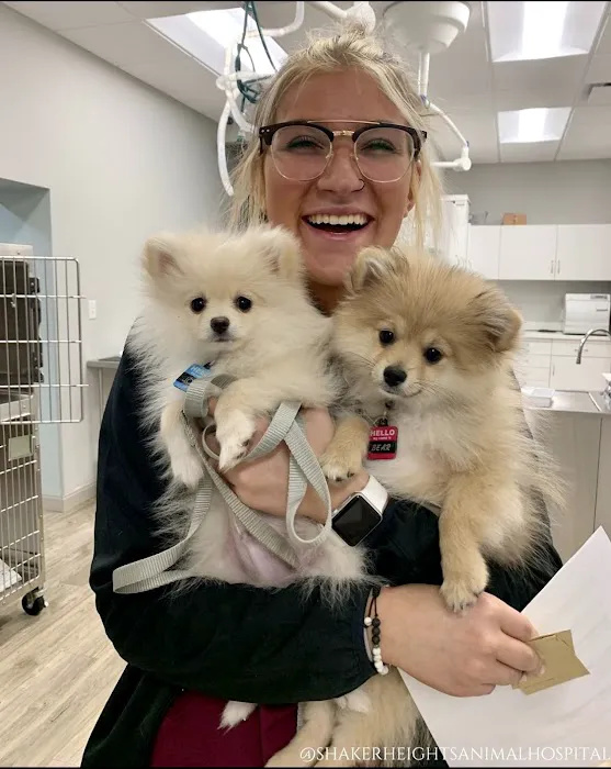 Shaker Heights Animal Hospital 3