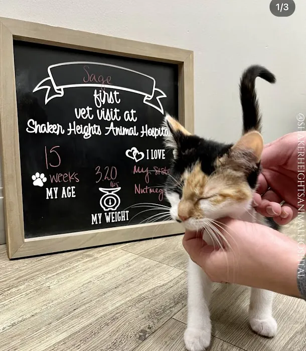 Shaker Heights Animal Hospital 8