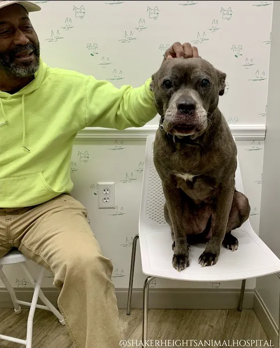 Shaker Heights Animal Hospital 1