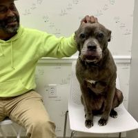 Shaker Heights Animal Hospital ico