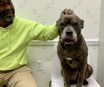 Shaker Heights Animal Hospital