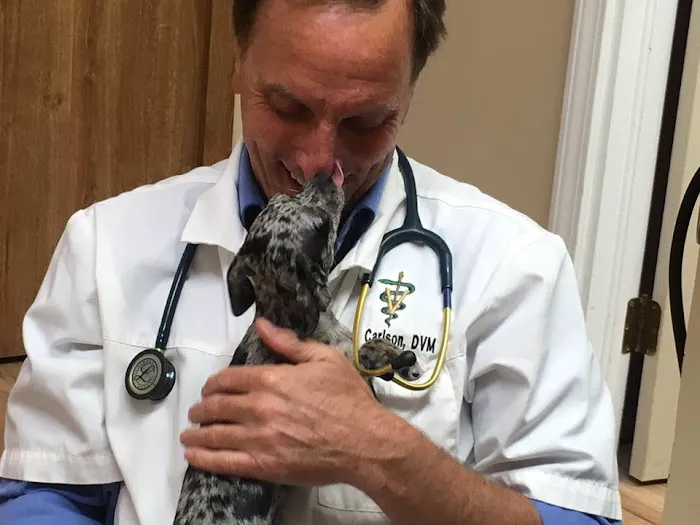 Stow Kent Animal Hospital 1