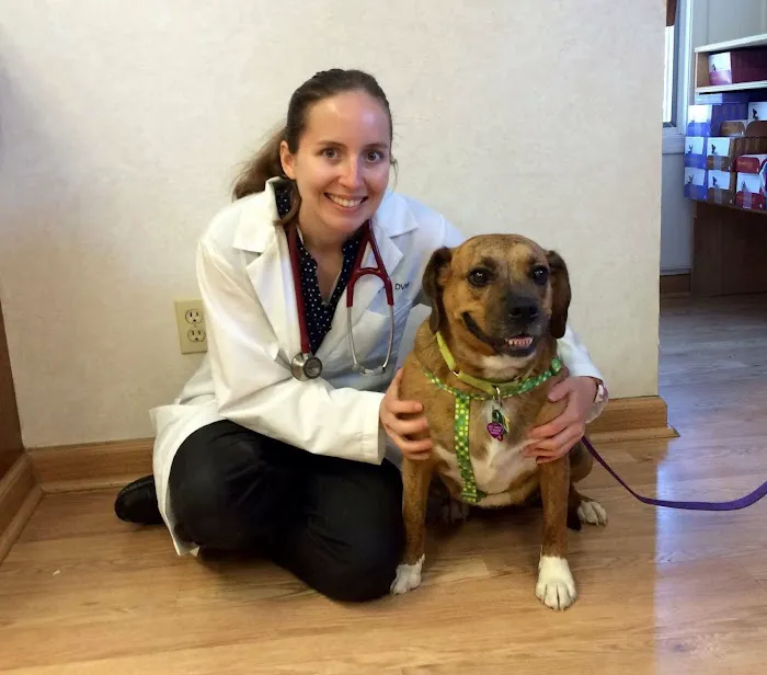 Stow Kent Animal Hospital 8
