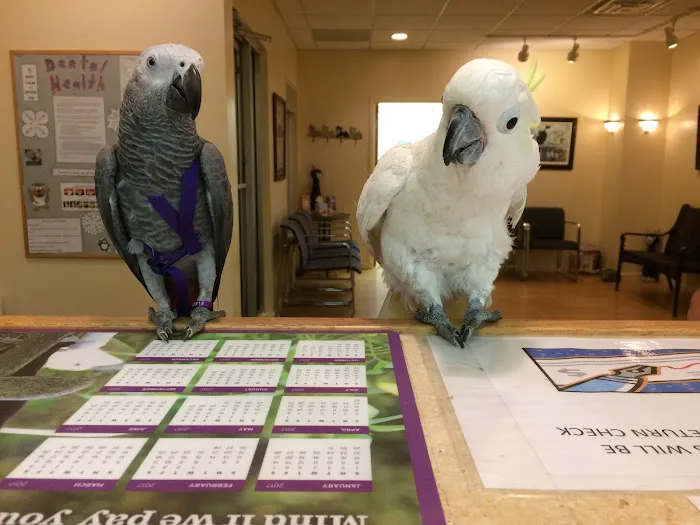 Stow Kent Animal Hospital 9
