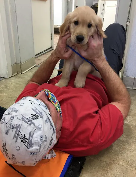 Stow Kent Animal Hospital 6