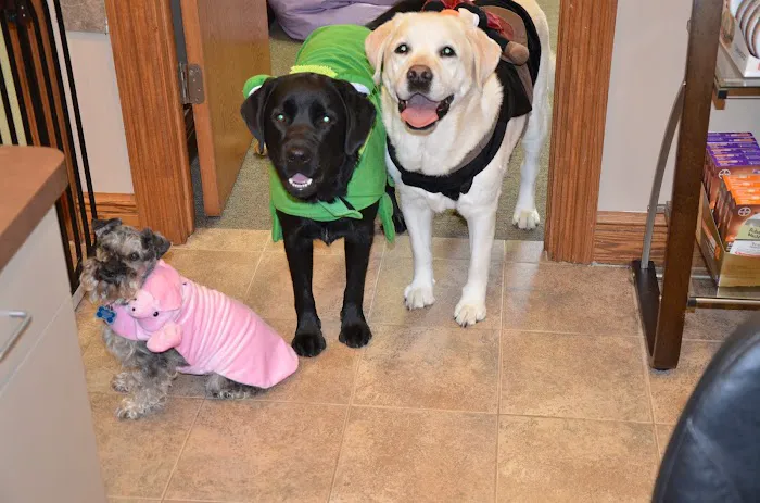Twin Lakes Veterinary Hospital 9